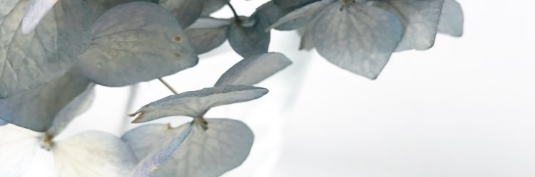 Marikee's profile banner image