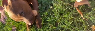 SundayWarning's profile banner image