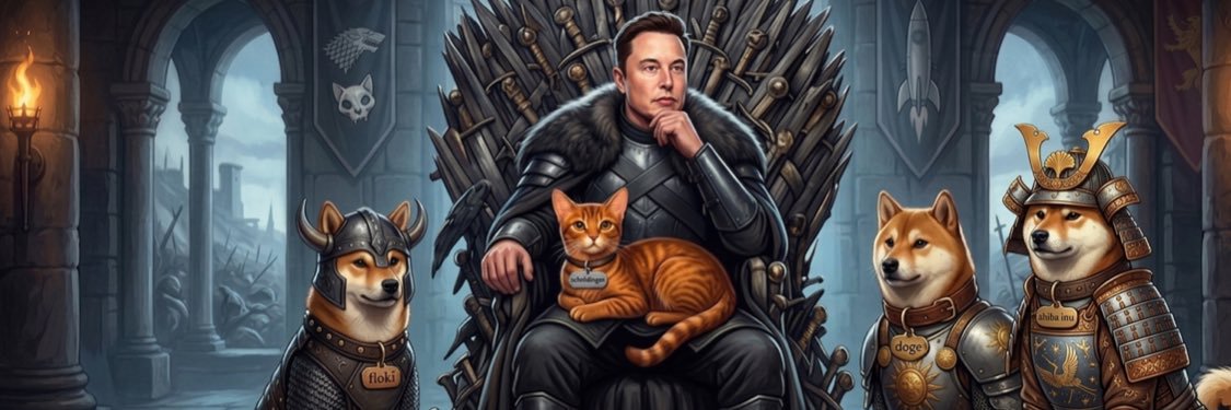 ElonCat 🐈 banner