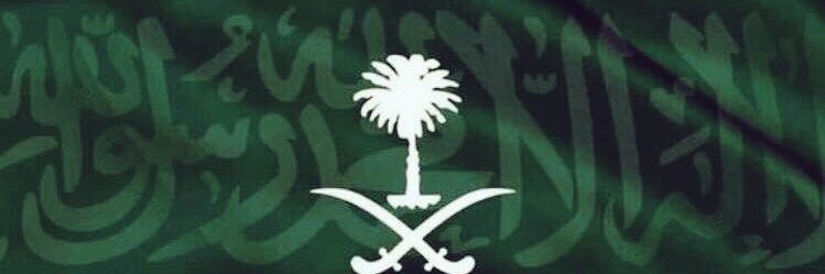 NAlesheikh's profile banner image