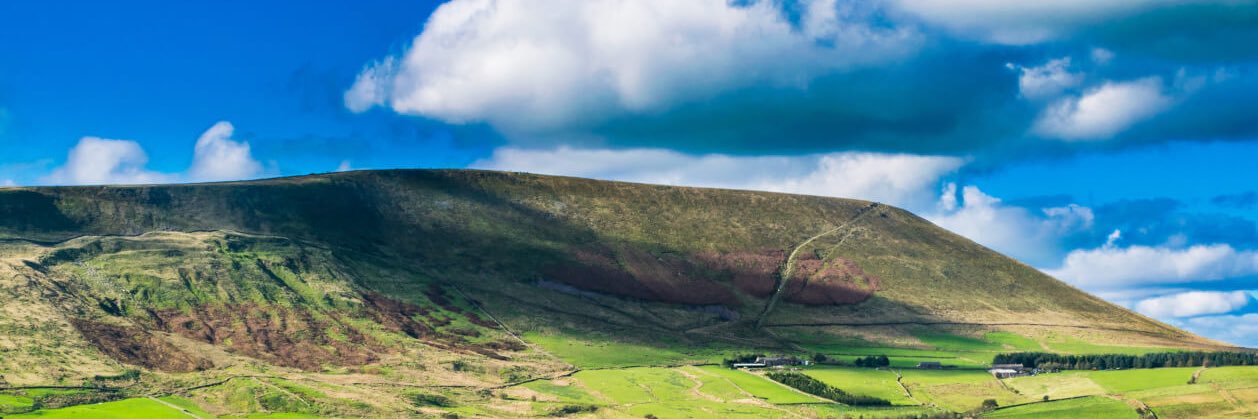 Common Cobble banner