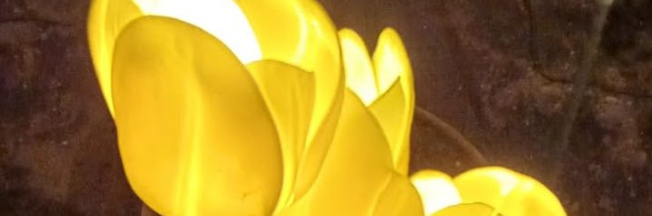 miるk banner
