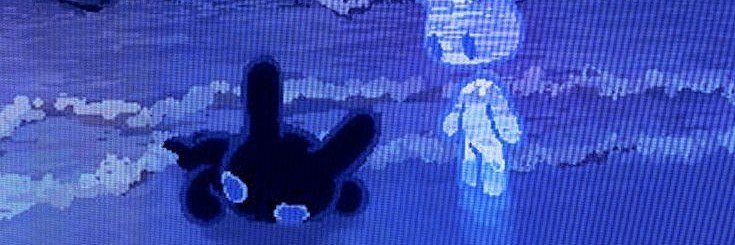 Naikashyt's profile banner image