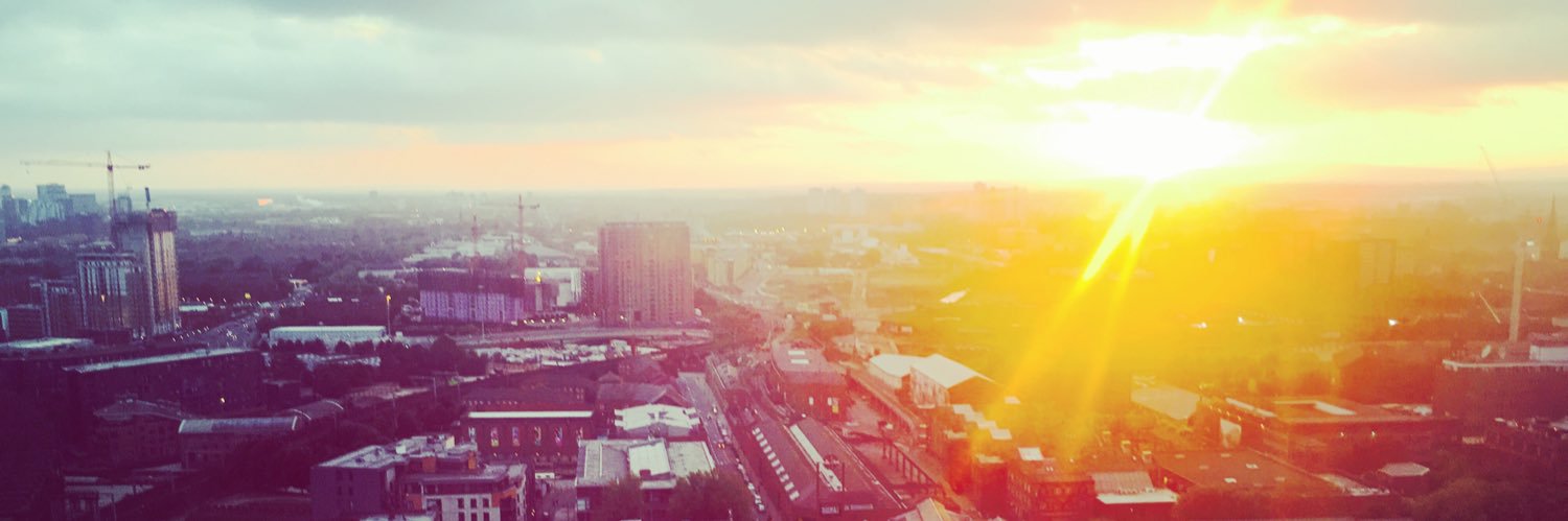 Molly Pipping 🐝💙 banner