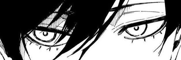 michio banner