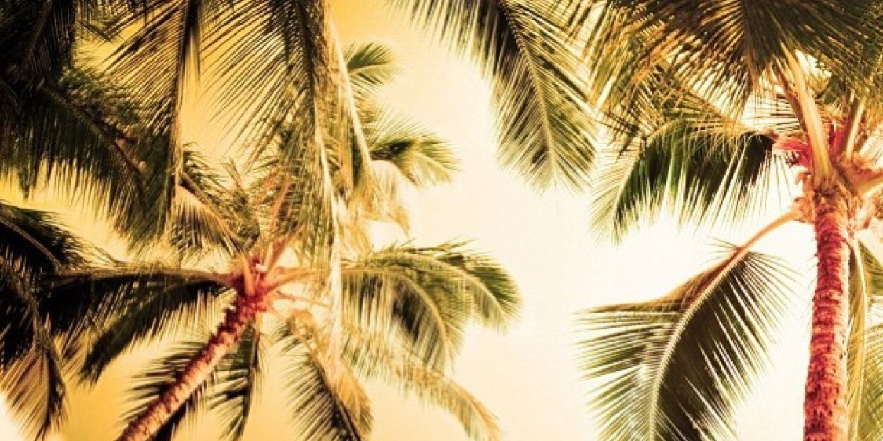 CandiiPaige's profile banner image