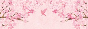Kristen126991's profile banner image