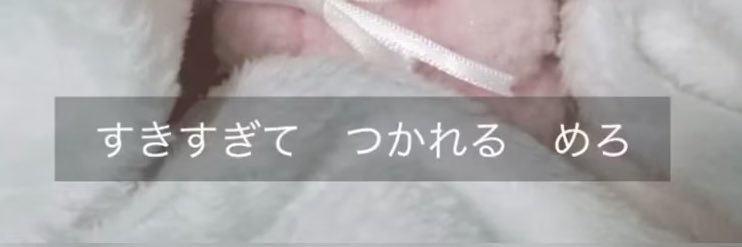♡♡💚 banner