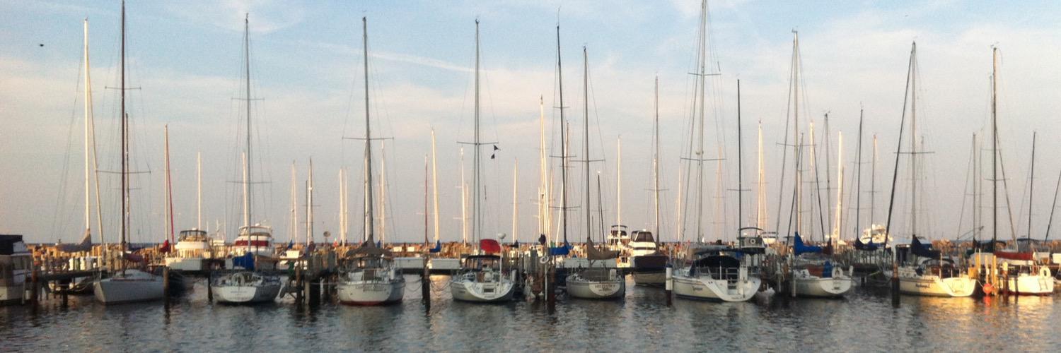 Karin Van Voorhees banner