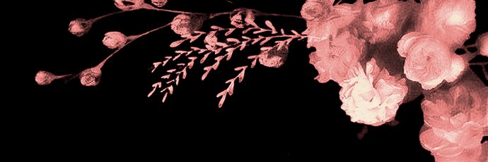 damian 🎨 ۶ৎ banner