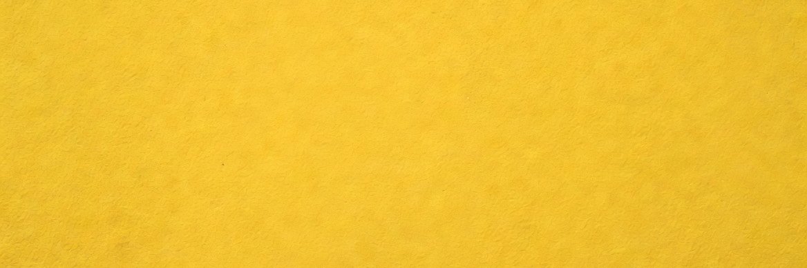 Terry Newman banner