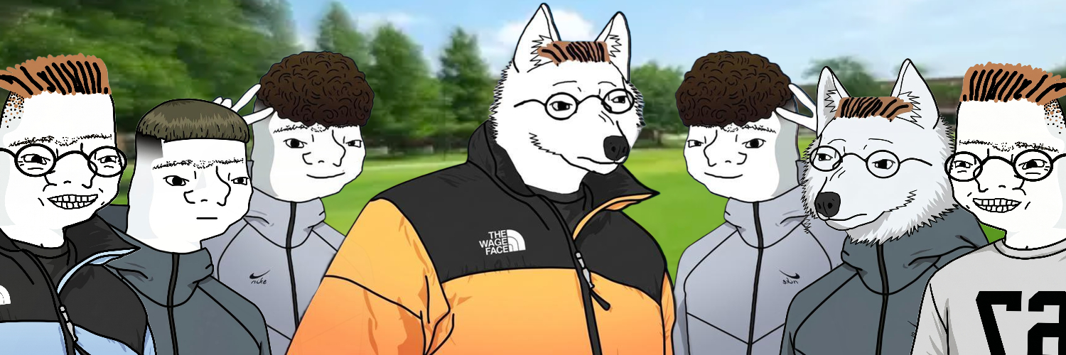 dawg banner