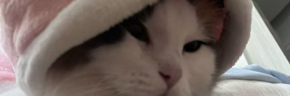 VV banner