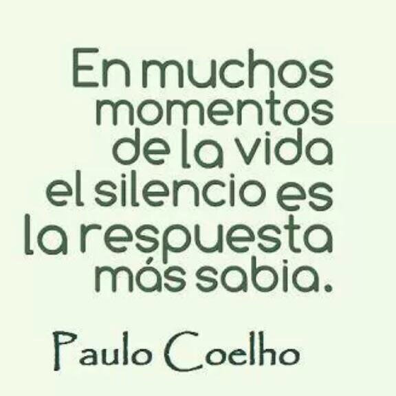 Claudia Baccellieri banner