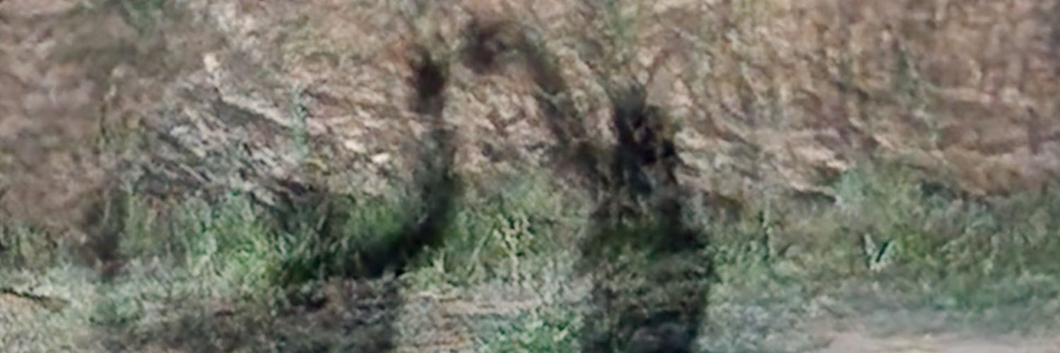 Mikhail Zeferino banner