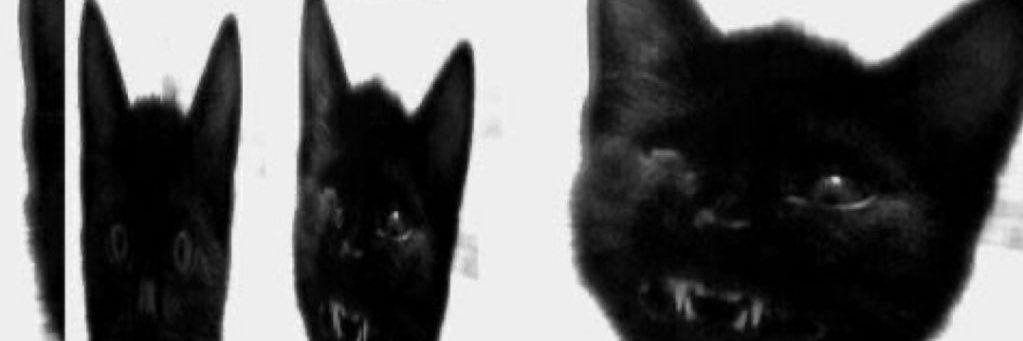 julia 𓍼ོ banner