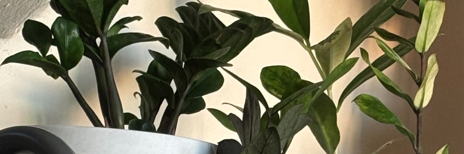 rmemjm's profile banner image
