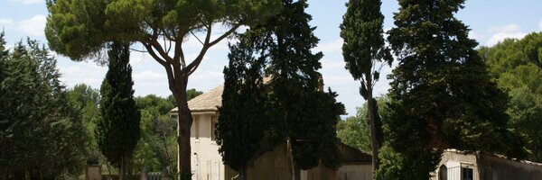 HeleenvH Profile Banner