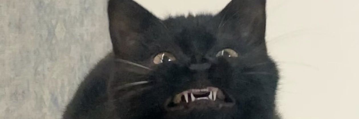🐧Sith Life🐧 banner