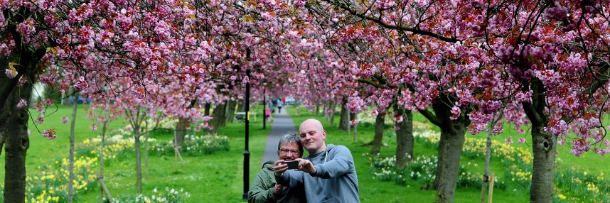 HgateAdvertiser's profile banner image