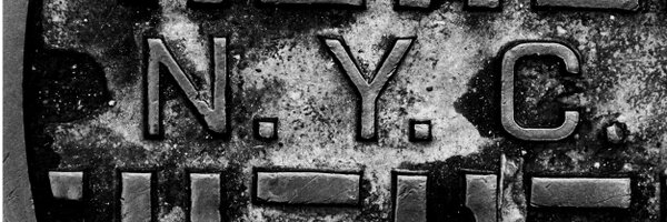 HavasLynxUS Profile Banner