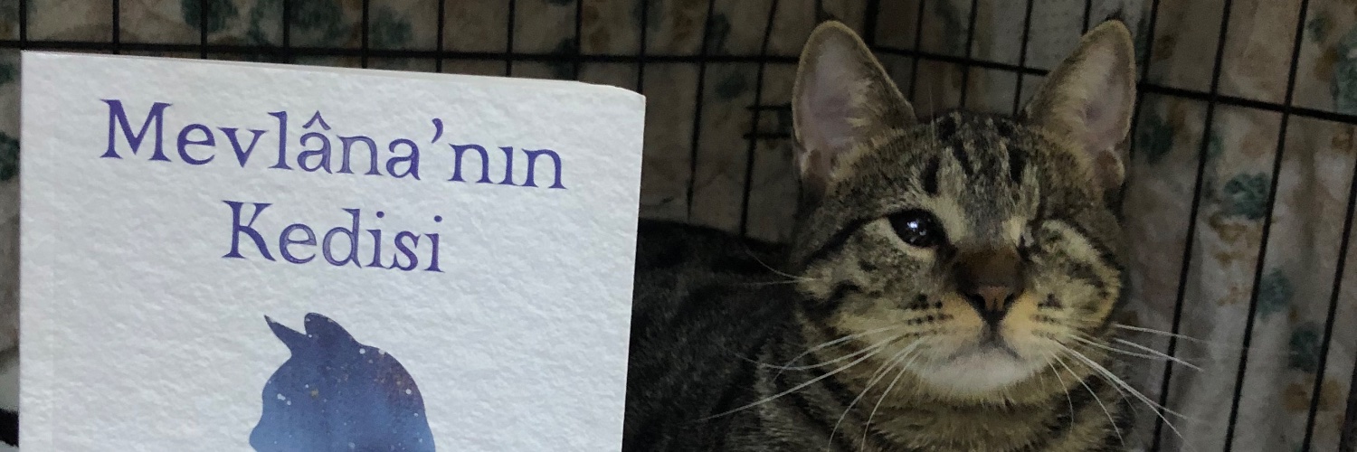blindkitty_fip's profile banner image