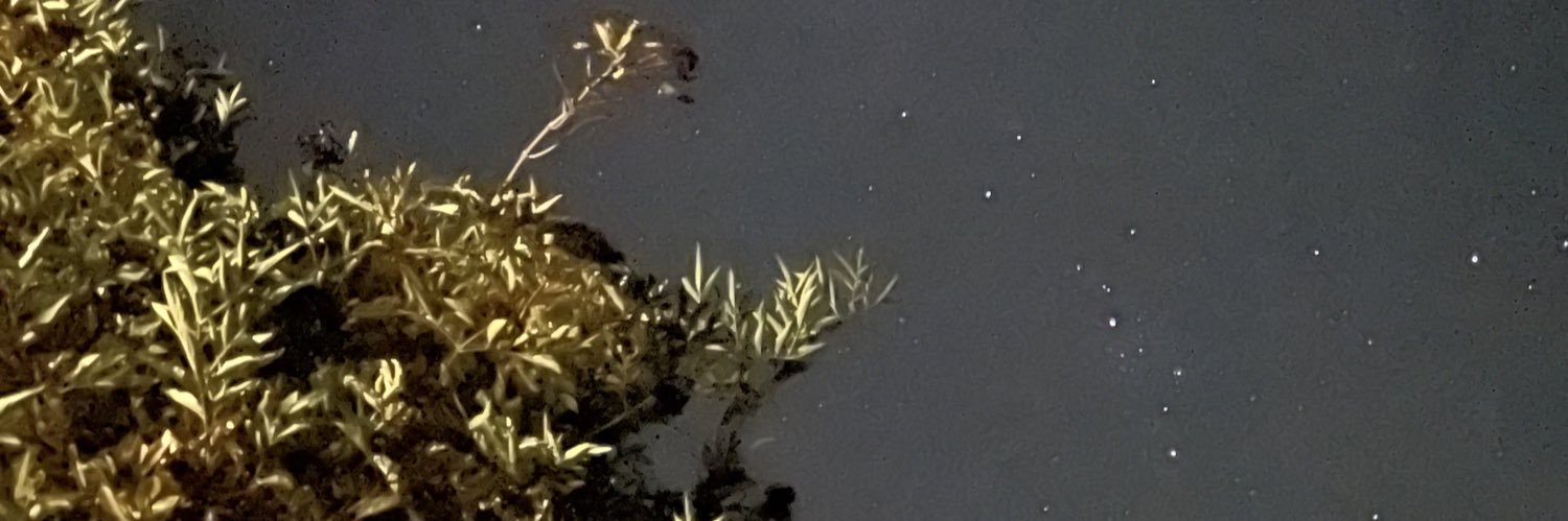 Misty McCready banner