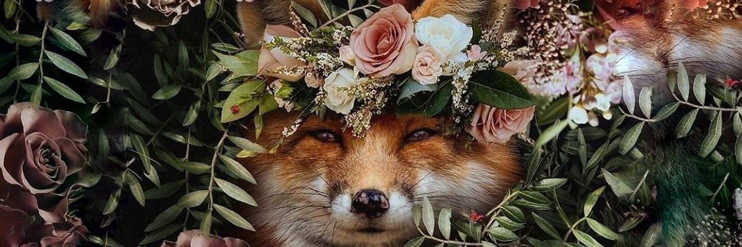 _Elektraa_'s profile banner image
