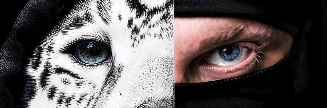 JAGSKILLS's profile banner image