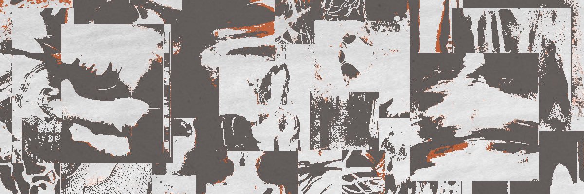 iola. banner