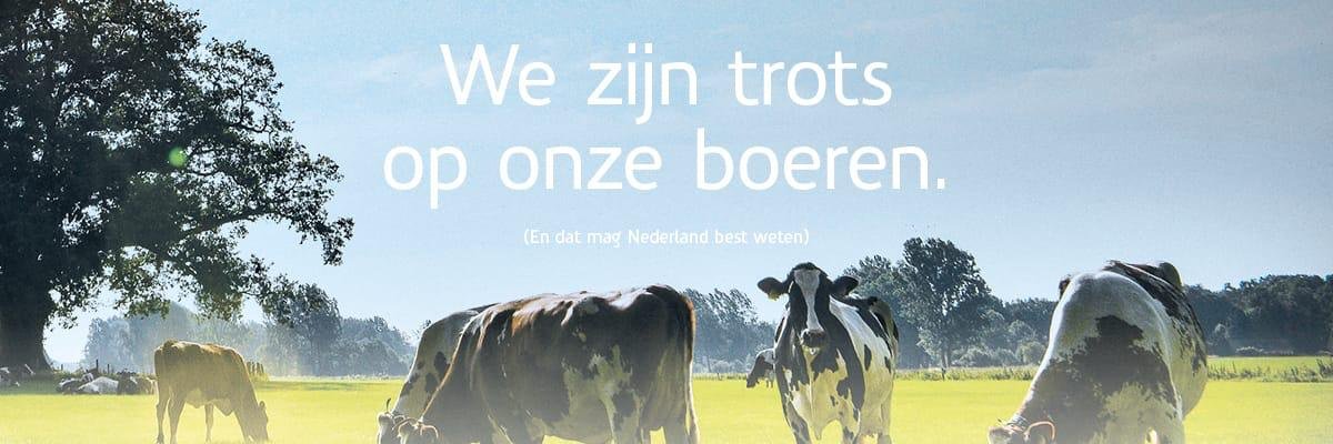 MirjamHanenberg's profile banner image