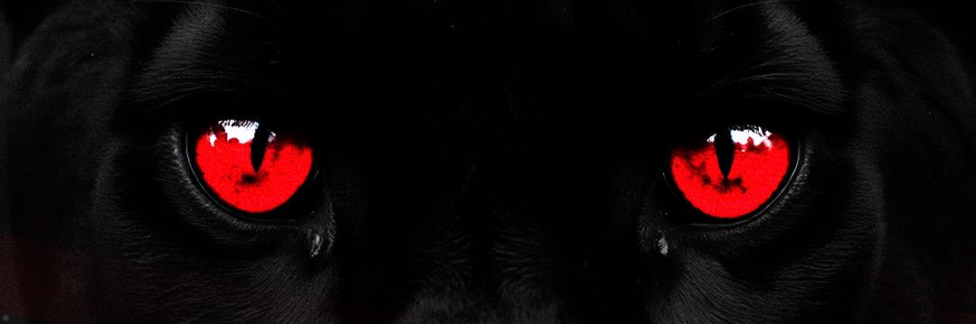 _MOIQ's profile banner image