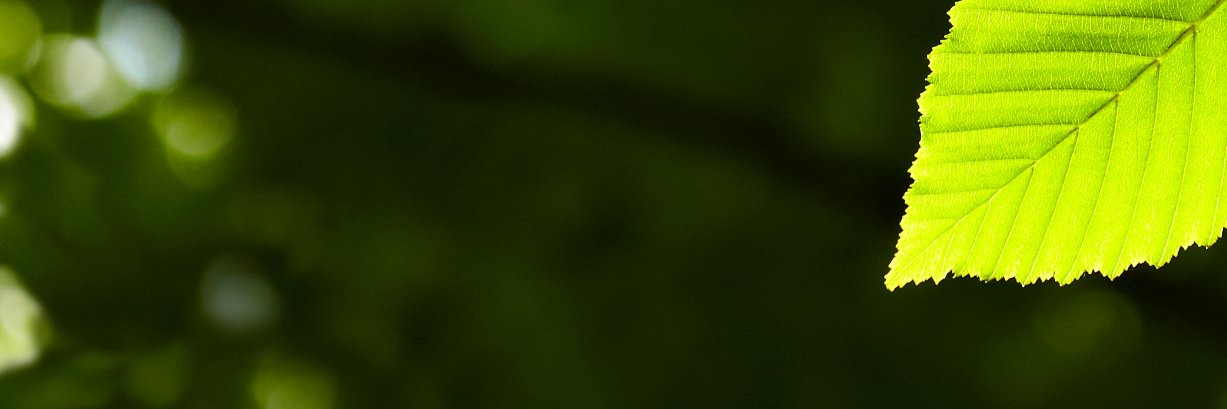 Warren_Spitz's profile banner image