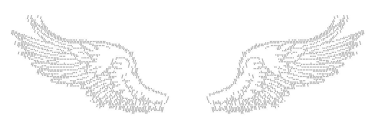 N banner