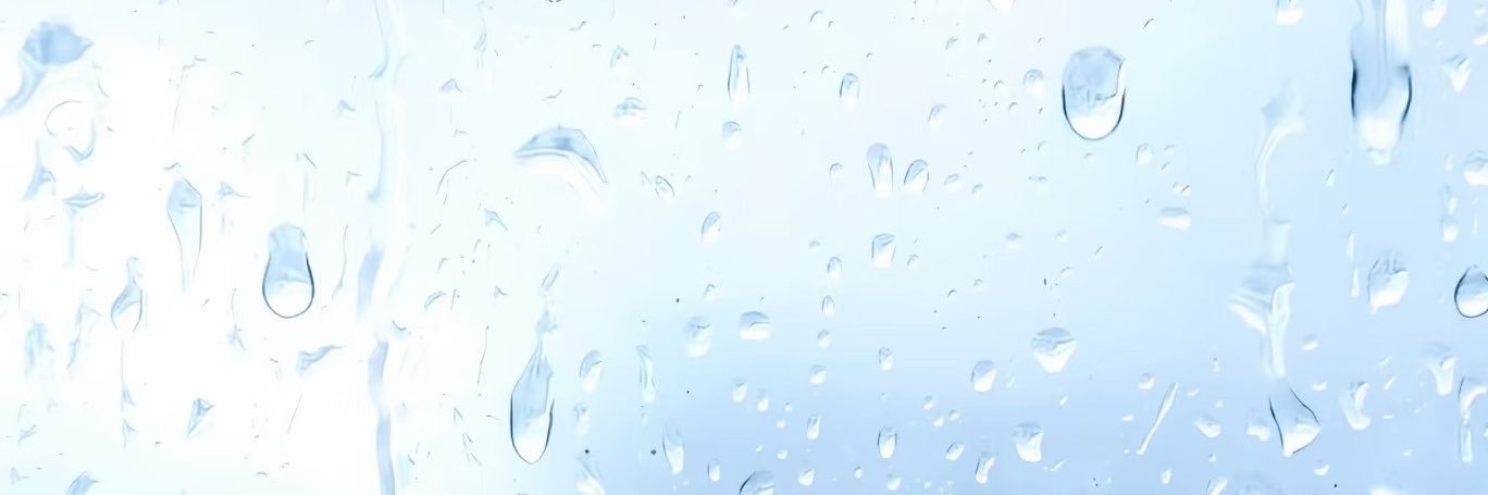 LizzyO333o's profile banner image