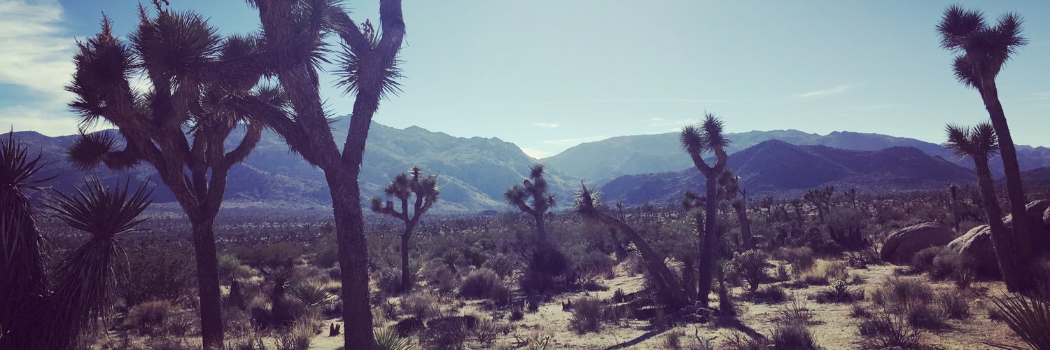 letitiawolf's profile banner image