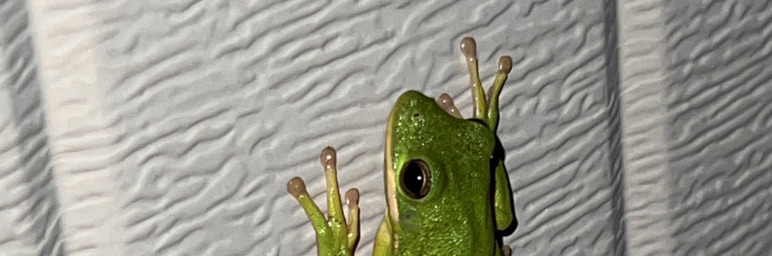 Socks banner