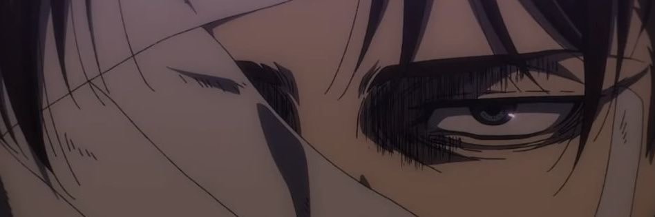 NO LEVI banner