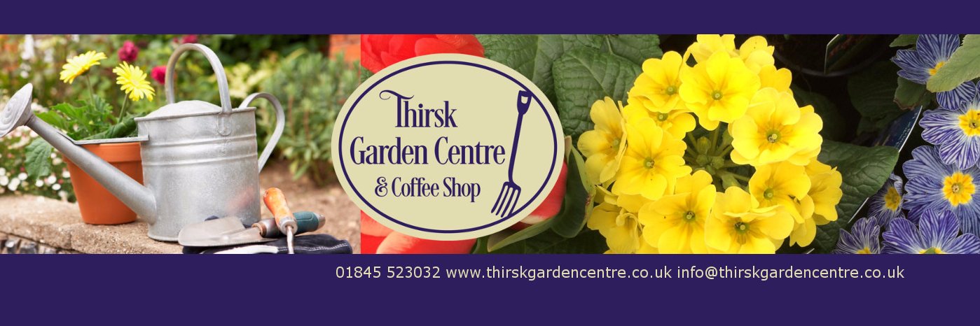 ThirskGC's profile banner image