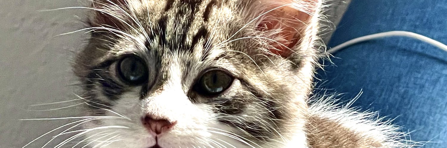 loodme's profile banner image
