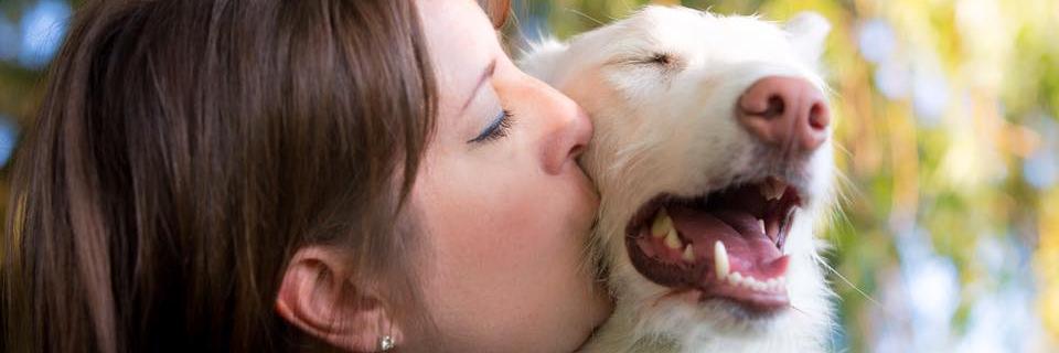 MustLoveDogsBou's profile banner image