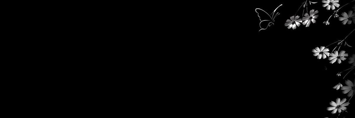 kamdensminion's profile banner image