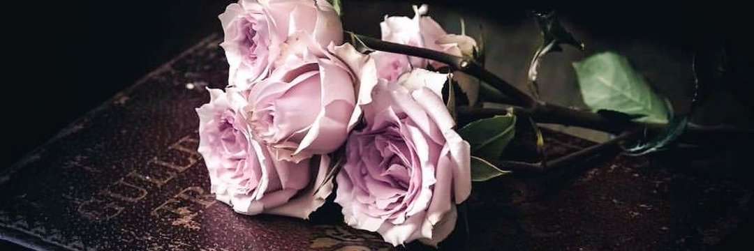 ❁𝕄𝕒𝕘𝕖𝕟𝕥𝕒 banner