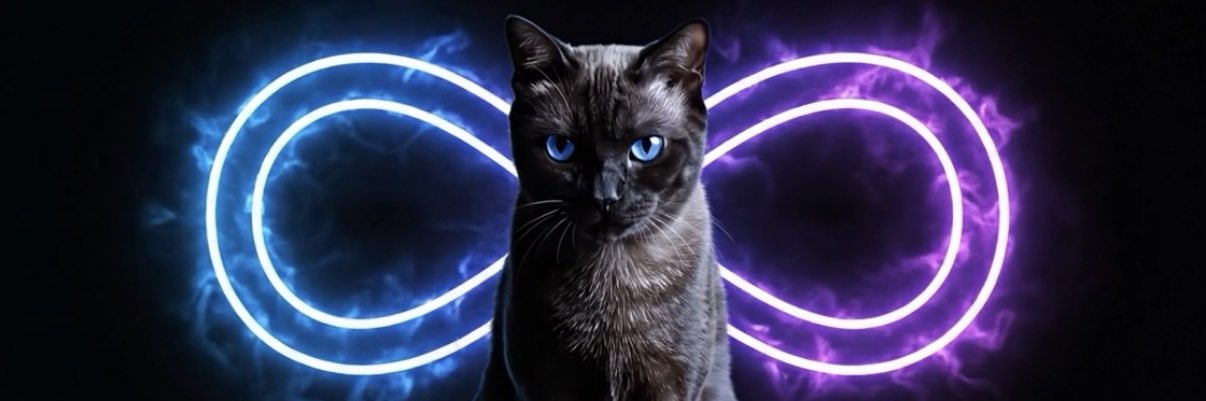 MeowzSignal's profile banner image