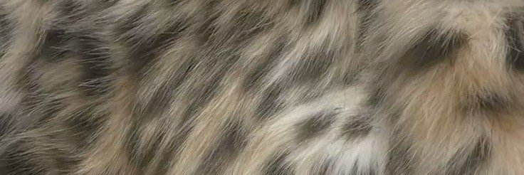 usedbydipi's profile banner image