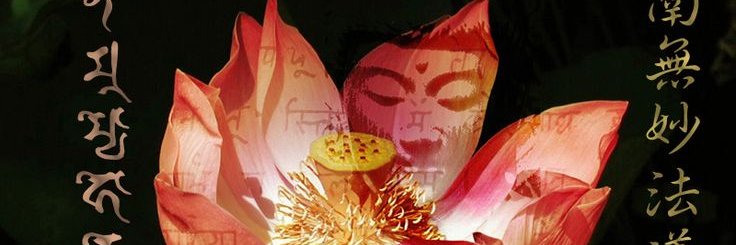 ray₊˚⊹ banner