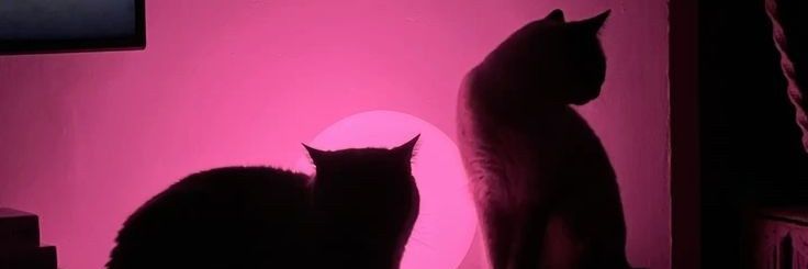 ؘ banner