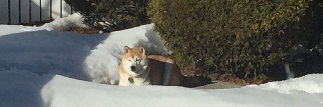 IRPaulP's profile banner image