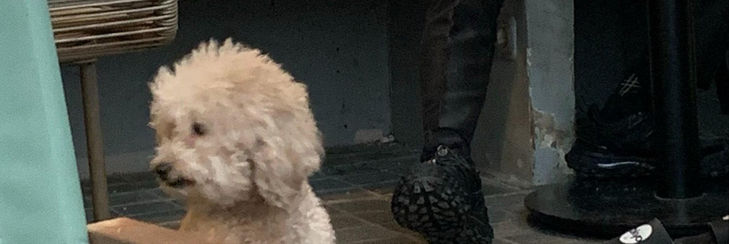 Caeeeqt's profile banner image