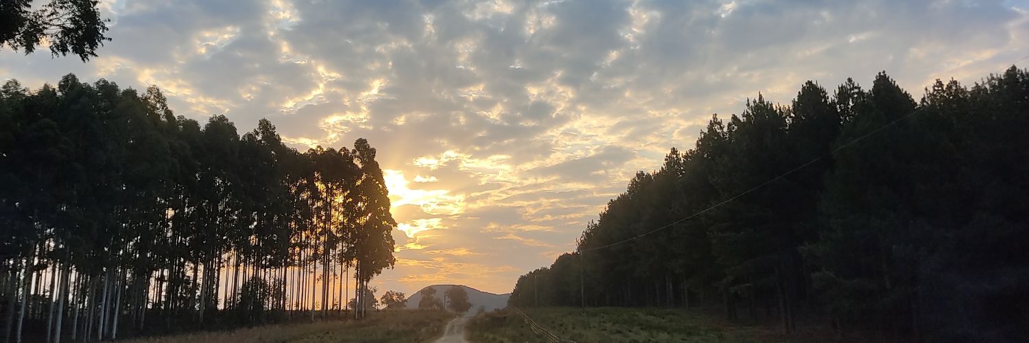marialavaggi's profile banner image